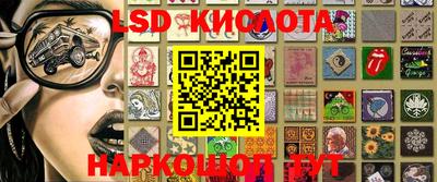 крисы Коммунар